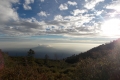 DSCN4398