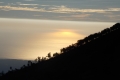 DSCN4420