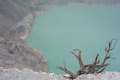ijen6