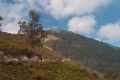 merapi-path-to-crater-rim