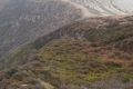 merapi-steep-non-visibal-path-2