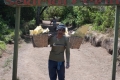 merapi-sulfar-worker