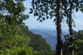 alor-to-flores-230