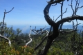 alor-to-flores-358