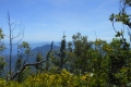 alor-to-flores-364