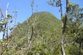alor to flores 369