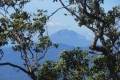 alor to flores 371