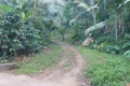 alor-to-flores-144