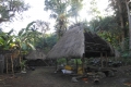 alor-to-flores-149