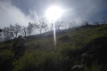 alor-to-flores-170