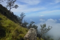 alor-to-flores-173