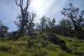 alor-to-flores-182