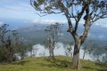 alor-to-flores-183