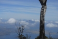 alor-to-flores-195