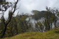 alor to flores 204