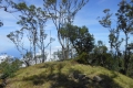 alor to flores 208