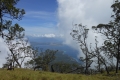alor to flores 214