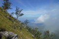 alor to flores 216