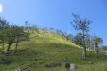 alor to flores 224