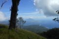 alor to flores 225