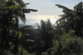 alor to flores 233