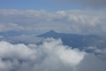 alor-to-flores-442