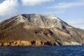 240792_flores_gunungia3