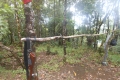 halmahera-sulawesi-039