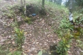 halmahera-sulawesi-040
