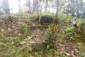 halmahera-sulawesi-043