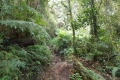 DSCN5663