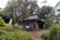 DSCN5677