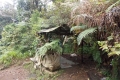 DSCN5679