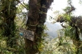 DSCN5687