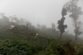DSCN5712