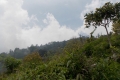 DSCN5713