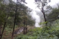 DSCN5761