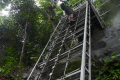Ascending Gunung Kelam (Eduard Gonzalez, September 2025)