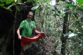 Gunung Kelam (Eduard Gonzalez, September 2025)