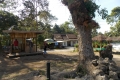 DSCN1332