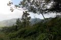 DSCN1353