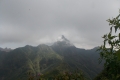 DSCN1356