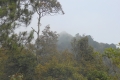 puntang-kerenceng-111