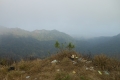 puntang-kerenceng-132
