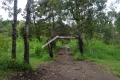 DSC00051