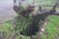 DSC00094