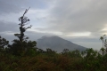 DSC00119