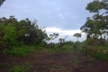 DSC00135