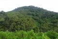 DSC00157