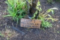 DSC00162